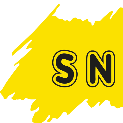 sndpi.com
